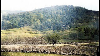 The Importance of Culp's Hill in the Battle of Gettysburg