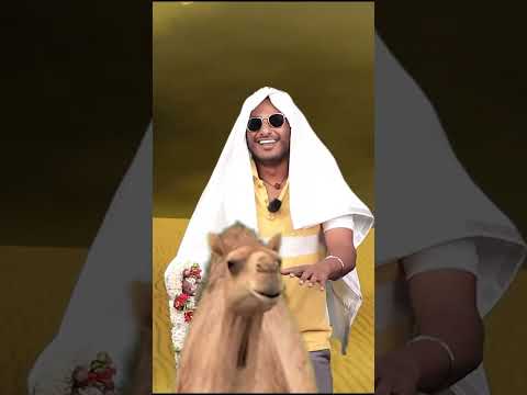 HABIBI Come To Dubai Parithabangal Shorts Shorts