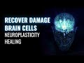 Regeneration of neurons  neuroplasticity healing  recover damage brain cells  binaural beats tone