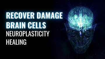 Regeneration of Neurons | Neuroplasticity Healing | Recover Damage Brain Cells | Binaural Beats Tone