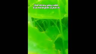 Download Lagu Hay kamu yang sedang berjuang 😇 #fypyoutube #viralvideo #motivation MP3 Download Lagu Hay kamu yang sedang berjuang 😇 #fypyoutube #viralvideo #motivation MP3