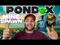 What is crypto 20 pond coin pndc explained mining spawning pond water and more