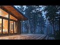 Extreme Rainstorm Sounds for Deep Sleep
