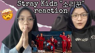 Stray Kids “소리꾼” (Thunderous) MV Reaction!!