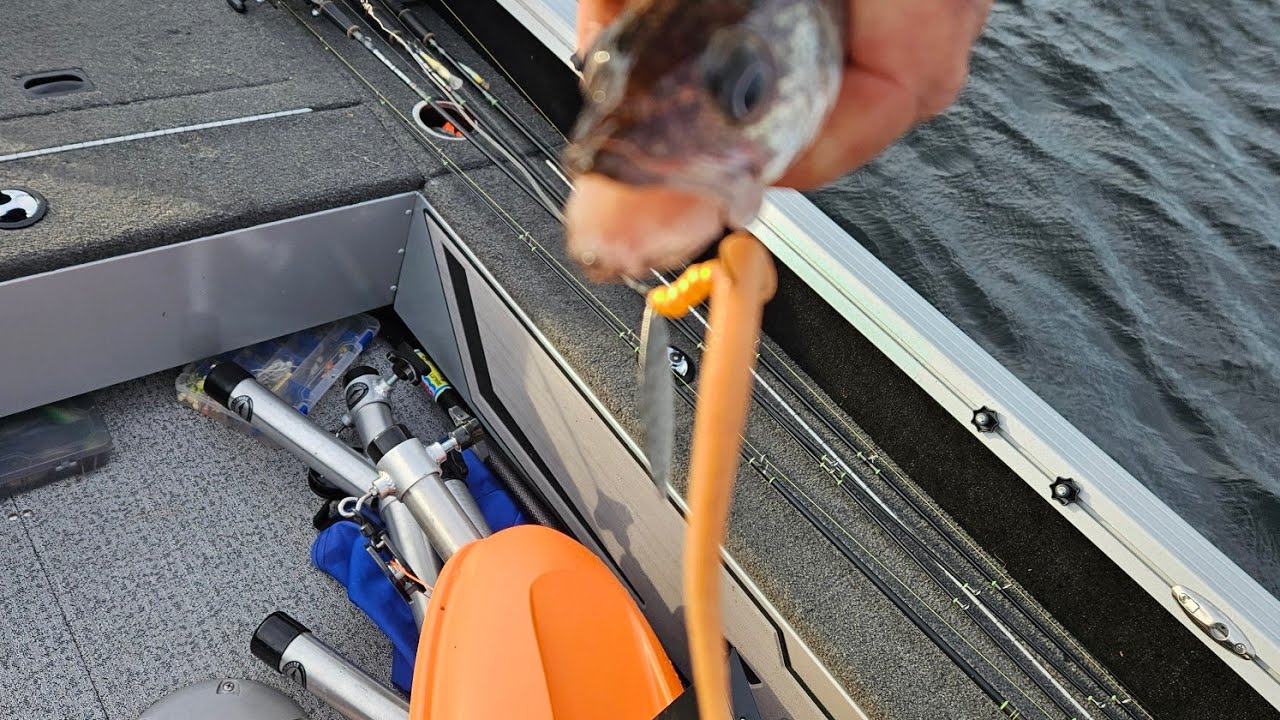 Oneida Lake Fishing Report Friday 5/17 YouTube