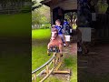 Horse rideibaadfamily shorts viralshorts ytshorts fyp themepark