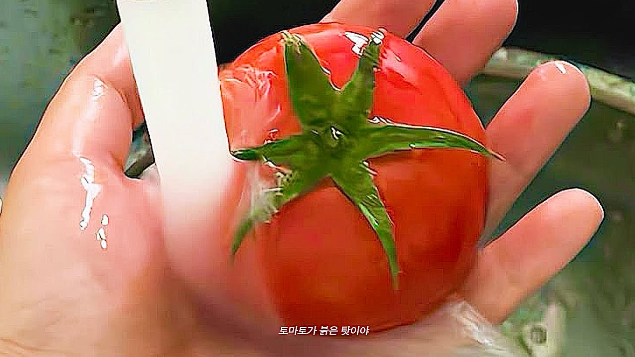 100 процентов эмоций lofi chillhop медленный джаз биты для учёбы работы и спокойной атмосферы