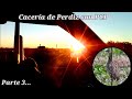 Caza de perdiz 3 con PCP Gamo Coyote y Cometa Lynx  .22 ( Partridge Hunting )