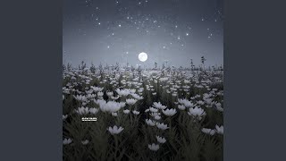 Shadows at Midnight