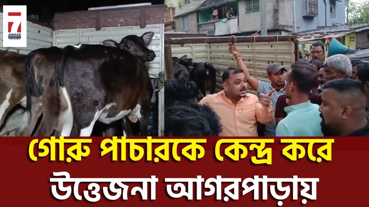 AGARPARA : গোরু পাচার করার সময় গাড়ি সহ পাচারকারীদের হাতেনাতে ধরলো বিজেপি নেতা, উত্তেজনা আগরপাড়ায়