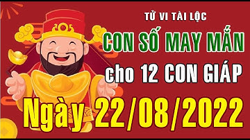 CON SỐ MAY MẮN HÀNG NGÀY (22-08-2022) CỦA 12 CON GIÁP: Số Tài lộc, Giàu có & Thịnh Vượng