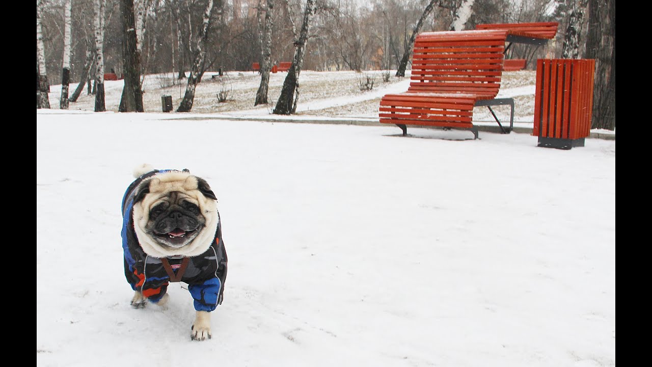 ТОП Новостей за 19.11