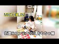 【MICHELIN】折畳みコンテナ20㍑ -おもちゃ編-