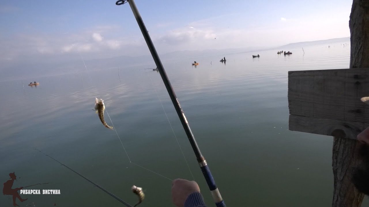 🎣Рибарски приказни „Риболов на Дојранско  Езеро“ #ribolov #fishing #риболов