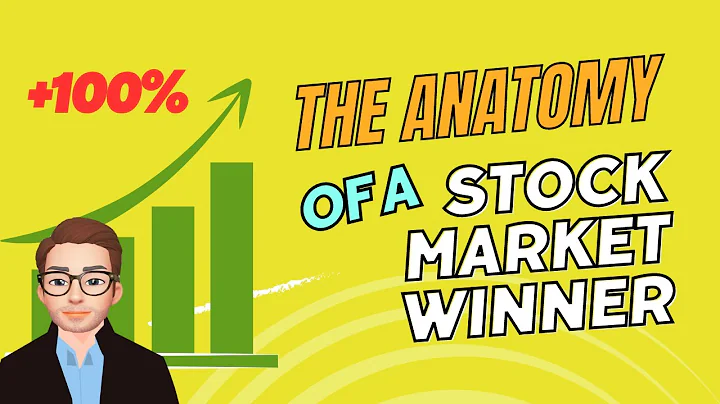 The Anatomy of a Stock Market Winner