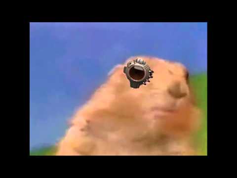 Dramatic Chipmunk (Monocle edition)