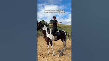 No one should be training horses unless they can do this ONE thing: #horsetrainer #horsetraining