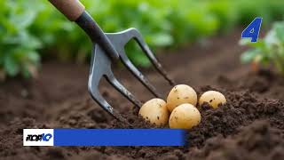 Top Ten: Essential Gardening Tools