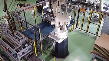 Petromin - Sweep Type Depalletizer