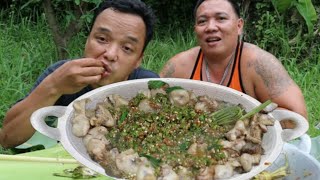 BRUTU AYAM CABE IJO CUMA ODON YANG SUKA