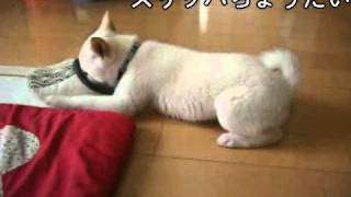 20100608.mp4