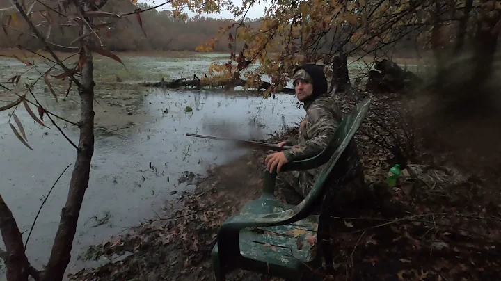 Ohio Public Land Duck Hunt(I shot my first pintail)