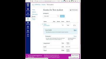Canvas - How to see comments on graded assessment