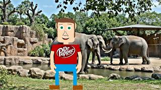 Matt At The Zoo (42826C)
