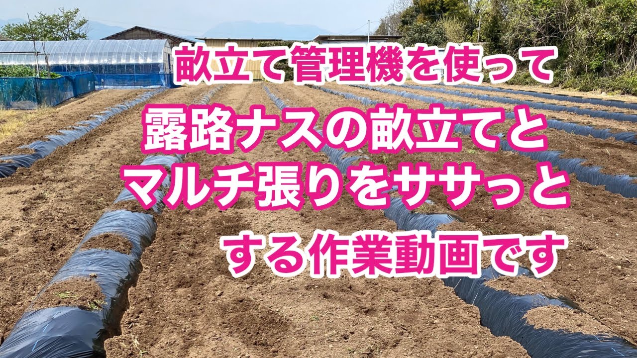 畝立て管理機を使って露路なす作りの為の畝立てとマルチ張りをしました 