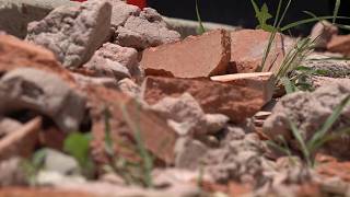 Confirmed EF 0 tornado rips through Dignowity Hill, experts say