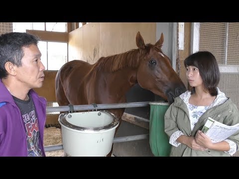 スプリンターズｓ 競馬界の女神 稲富菜穂がレッツゴードンキ 梅田智之調教師を直撃 Youtube