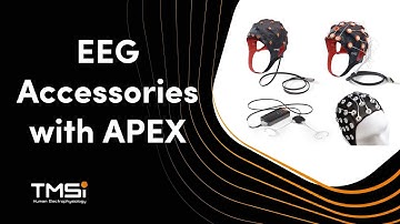 EEG Accessories with EEG Amplifier APEX