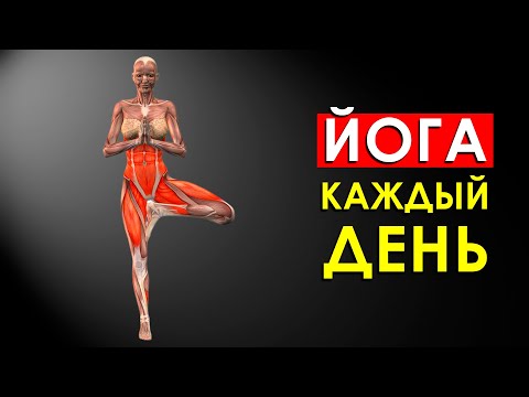 Video: Його качан токтотулган?