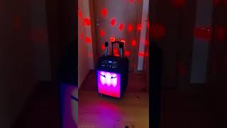 Al in One party Portable Speaker Test