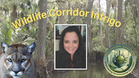 SSEEE Wildlife Corridor Intrigo 2025