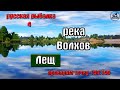 Русская рыбалка 4(рр4) - река Волхов. Лещ.