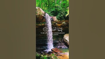 امنيتي أن تدعم في نشر القران الكريم