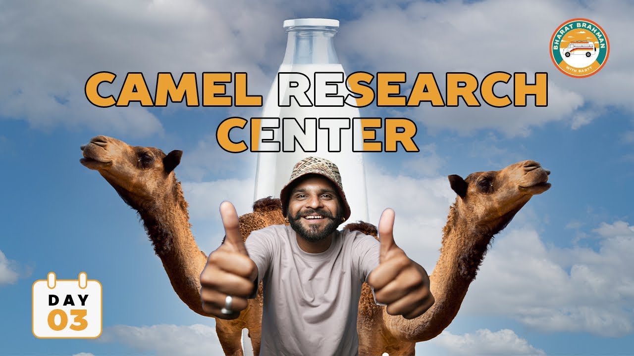 A day in Camel farm || Camel milk ki ice cream🍦