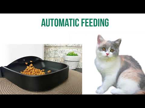 gasky automatic pet feeder