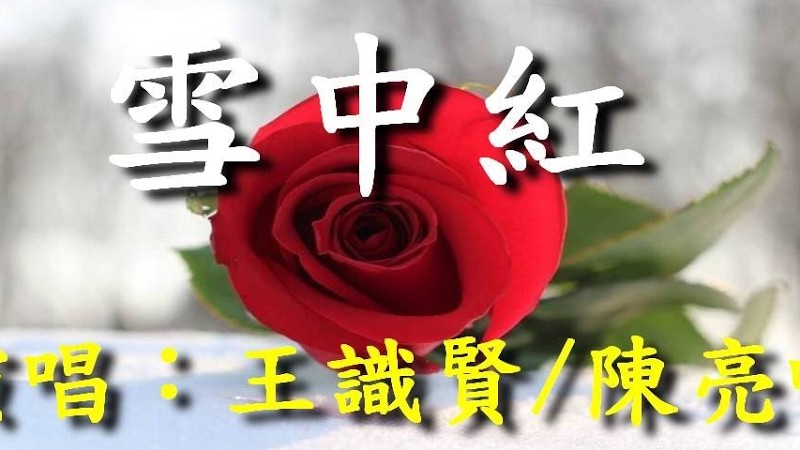 雪中紅                                                                      王識賢‧陳亮吟  演唱