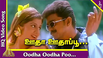 Minsara Kanna Tamil Movie Songs | Oodha Oodha Oodha Poo Video Song | Vijay | ஊதா ஊதா ஊதாப்பூ | Deva