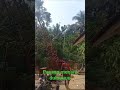 naik menara. persiapan eksekusi
