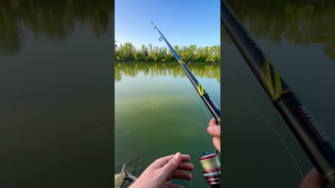 Fishing on Drava river 