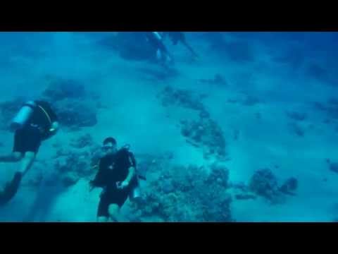 Diving  White Knight, Pyramids Diving Center