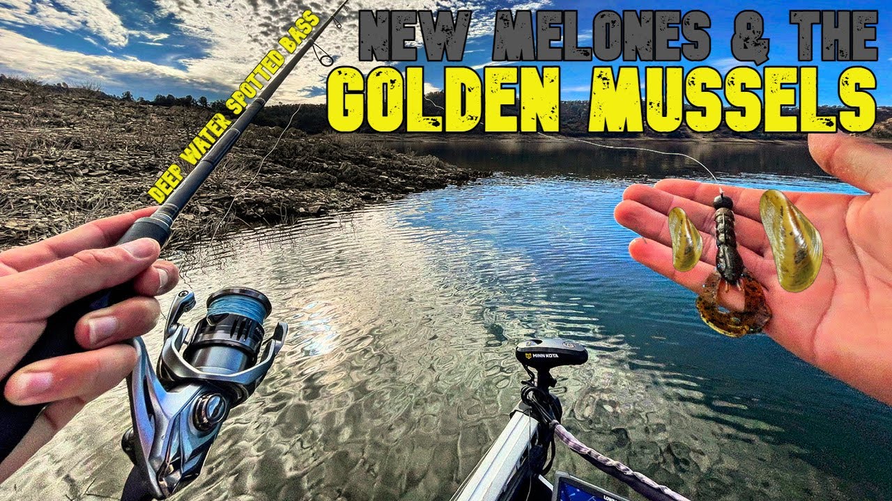 What's Going On A New Melones ? | Winter New Melones Bass Fishing | Winter Bass Fishing Tips