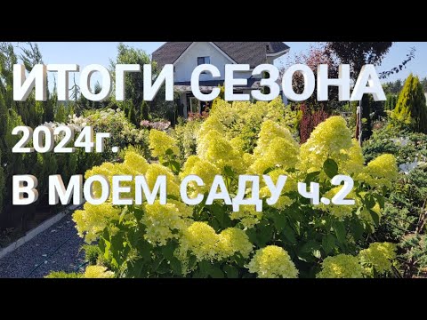 ИТОГИ СЕЗОНА 2024г. В МОЕМ САДУ Часть 2 | Новые испытания погодой и не только...