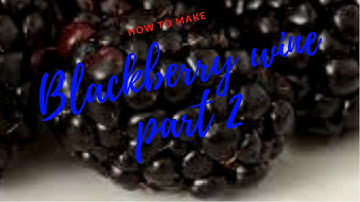 how to make blackberry wine part 2