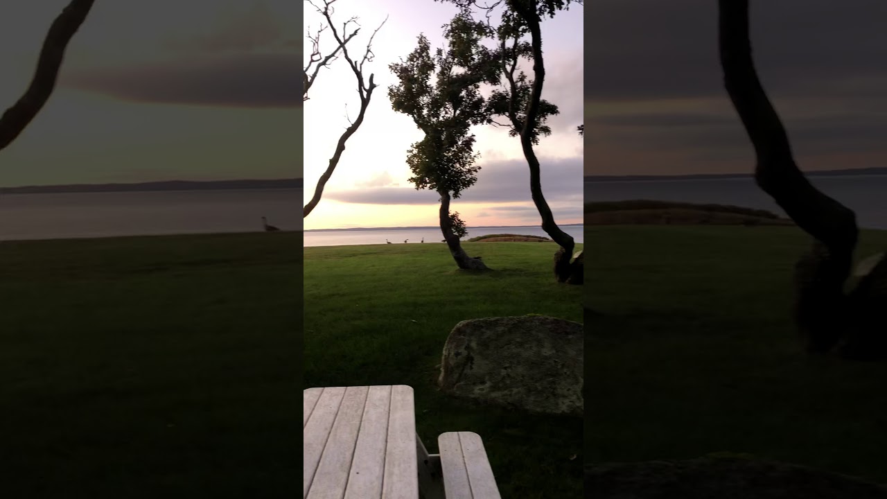 8 Jethro Lane, Chilmark MA 02535