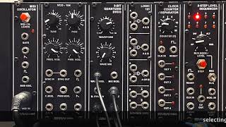 Famous EMW's New 8-bit Quantized DVCO Eurorack module Net Worth