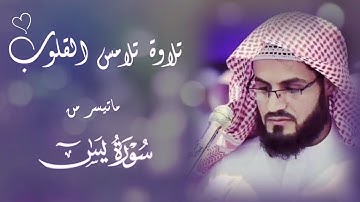 رعد الكردي || تلاوة تلامس شغاف القلوب🤍 ﴿سَلامٌ قَوْلا مِنْ رَبٍّ رَحِيمٍ﴾